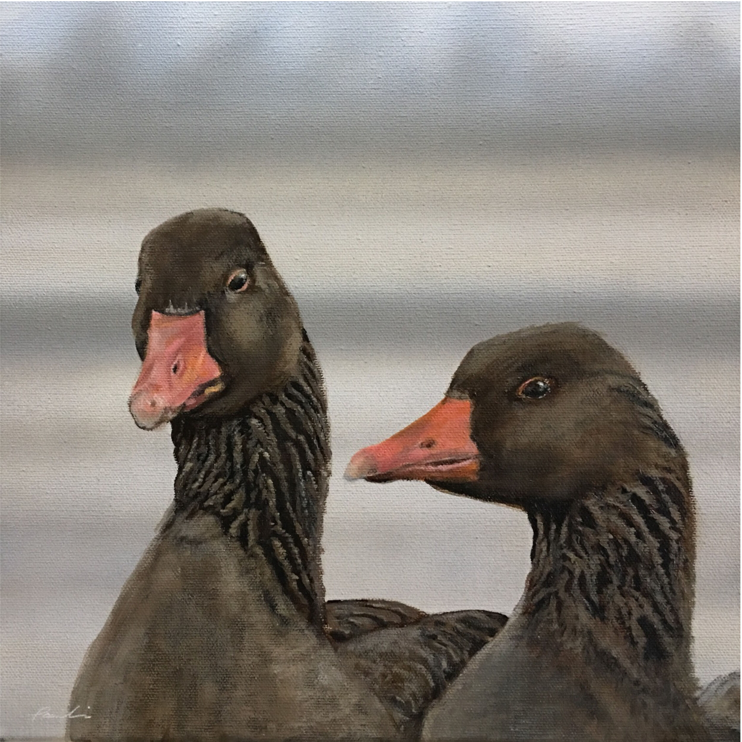Picture "Gray geese" (2019)