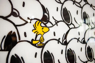 Bild "Snoopy" (2024)