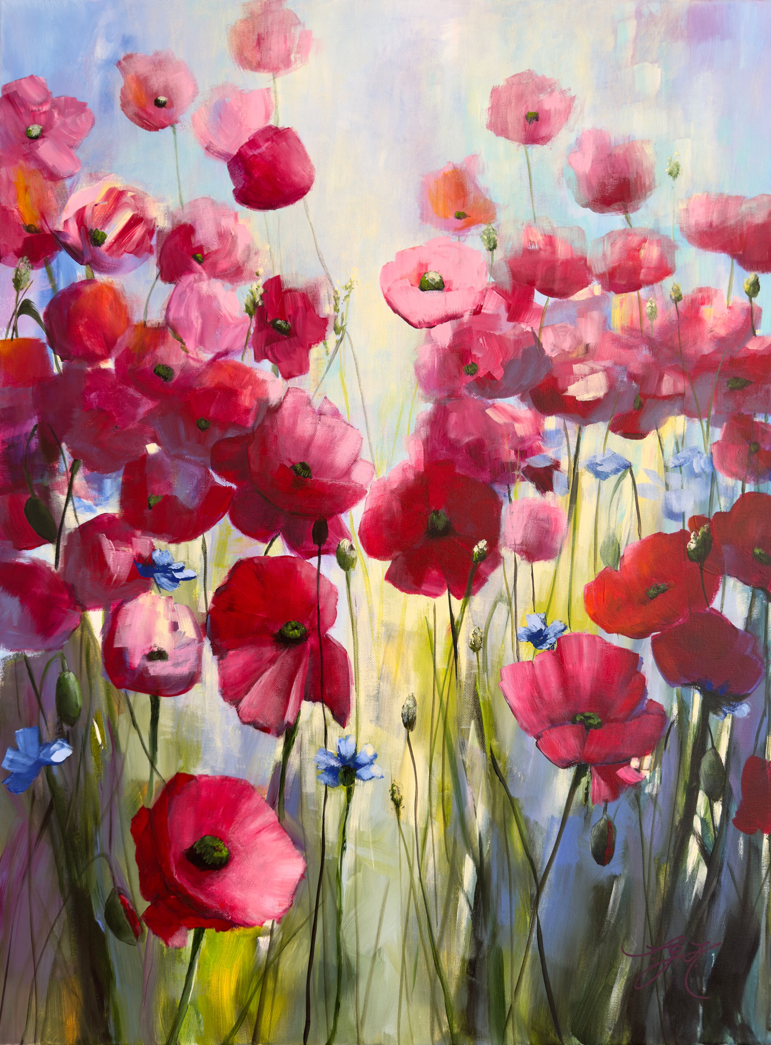 Bild "Poppies Land 11" (2024)
