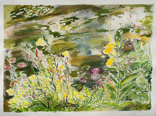 Picture "Evening primrose by the pond" (2023)
