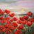 Picture "Poppy flowers II" (2023)