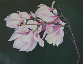 Picture "Magnolia" (2023)