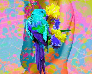 Bild "NATUR & ME II - Geist der Natur" (2023)