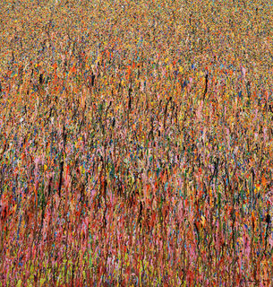 Bild "Claim 35 - moderne, abstrakte Landschaft" (2019)