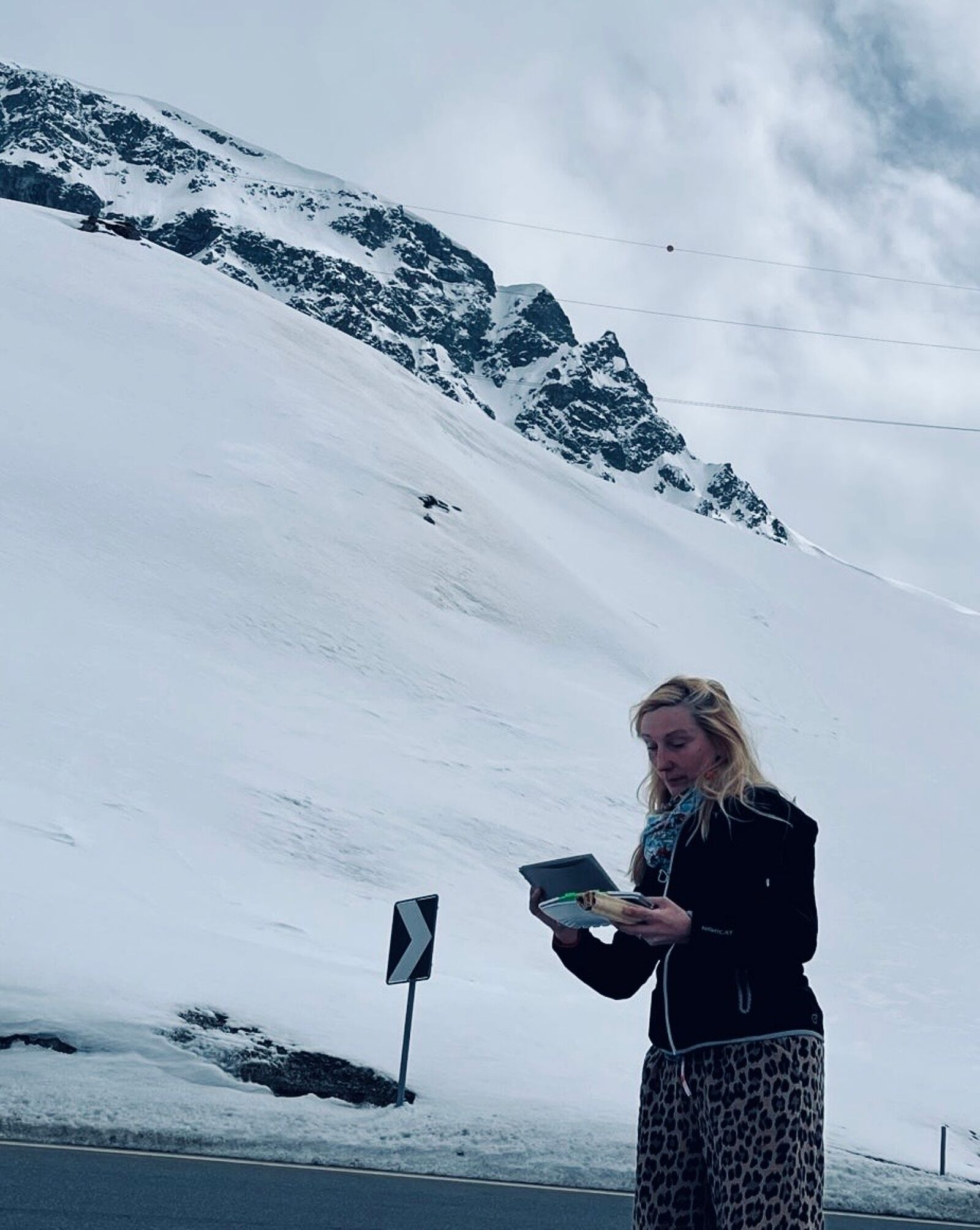 Picture "At the Jullier Pass" (2024)