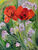 Picture "Poppies" (2024)