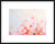 Picture "When it Blooms III" (2024)