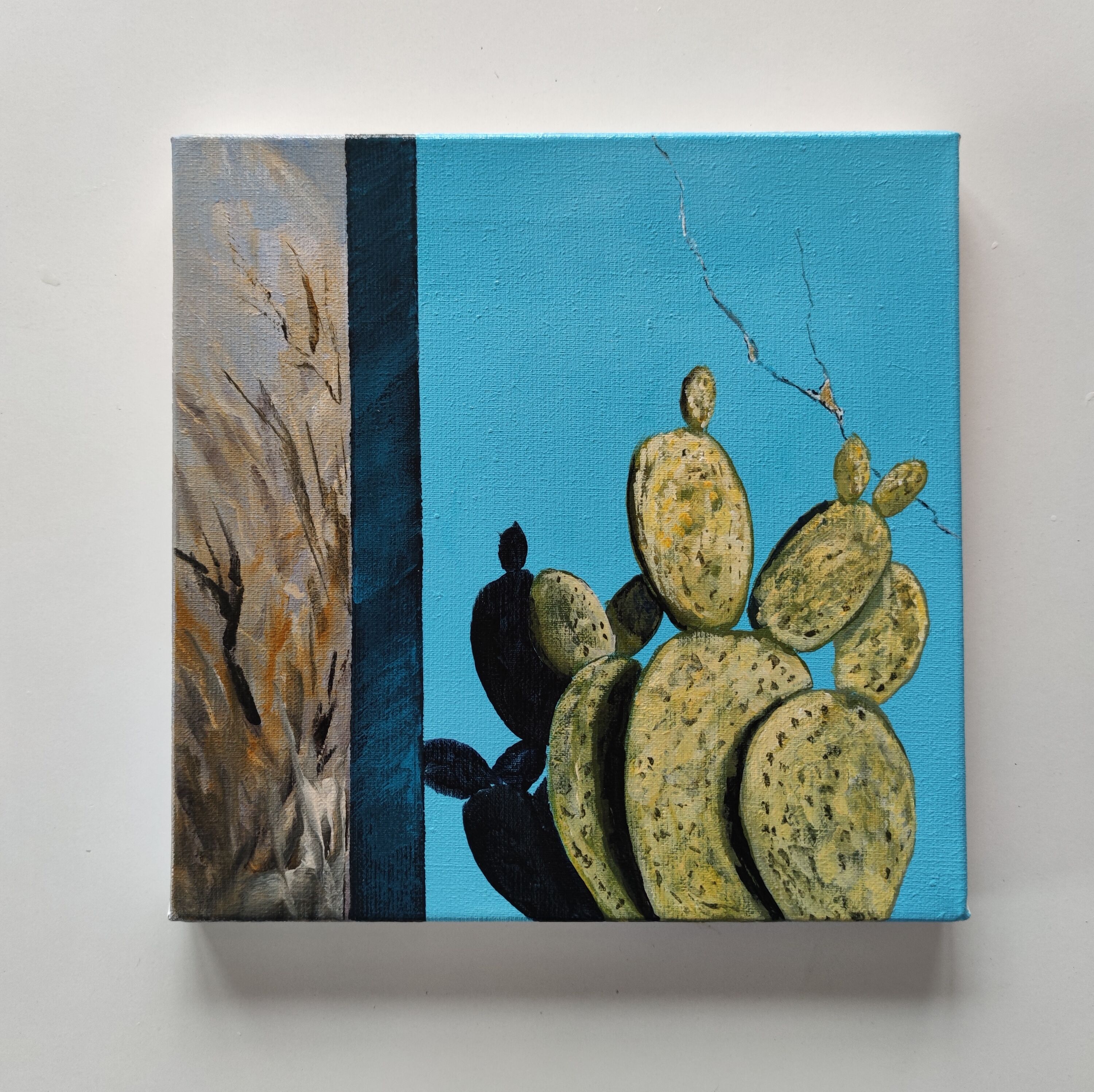 Picture "cactus with turquoise wall" (2009)