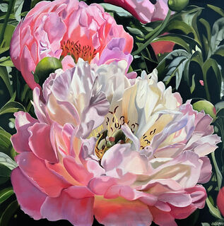 Bild "Pfingstrosen | Peony blossom (no. 221003)" (2022)