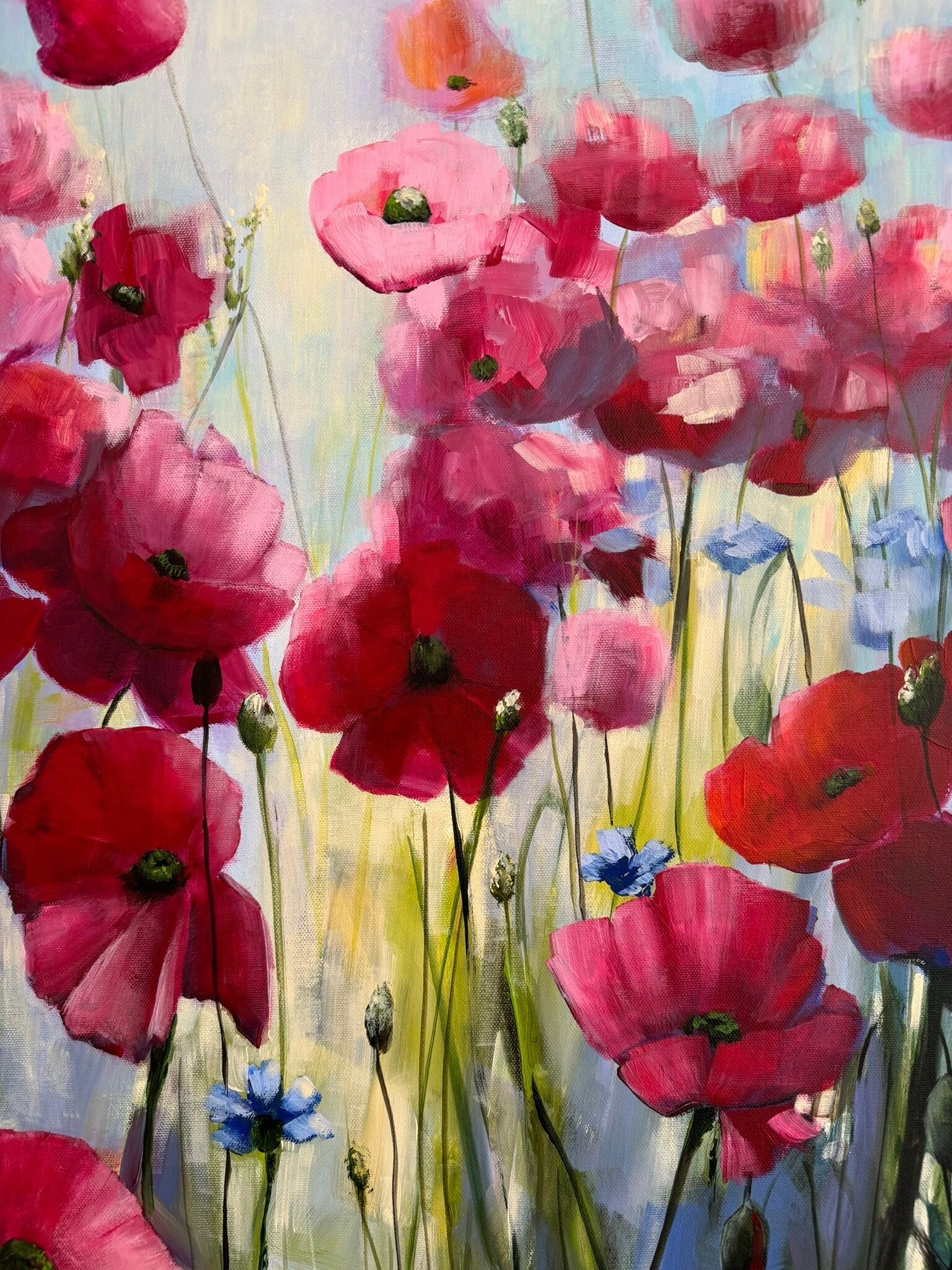 Bild "Poppies Land 11" (2024)