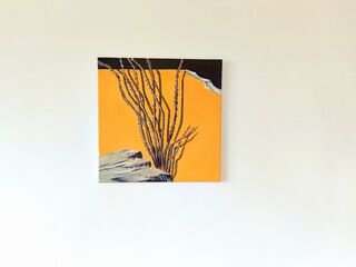 Picture "Ocotillo in front of yellow wall" (2009)