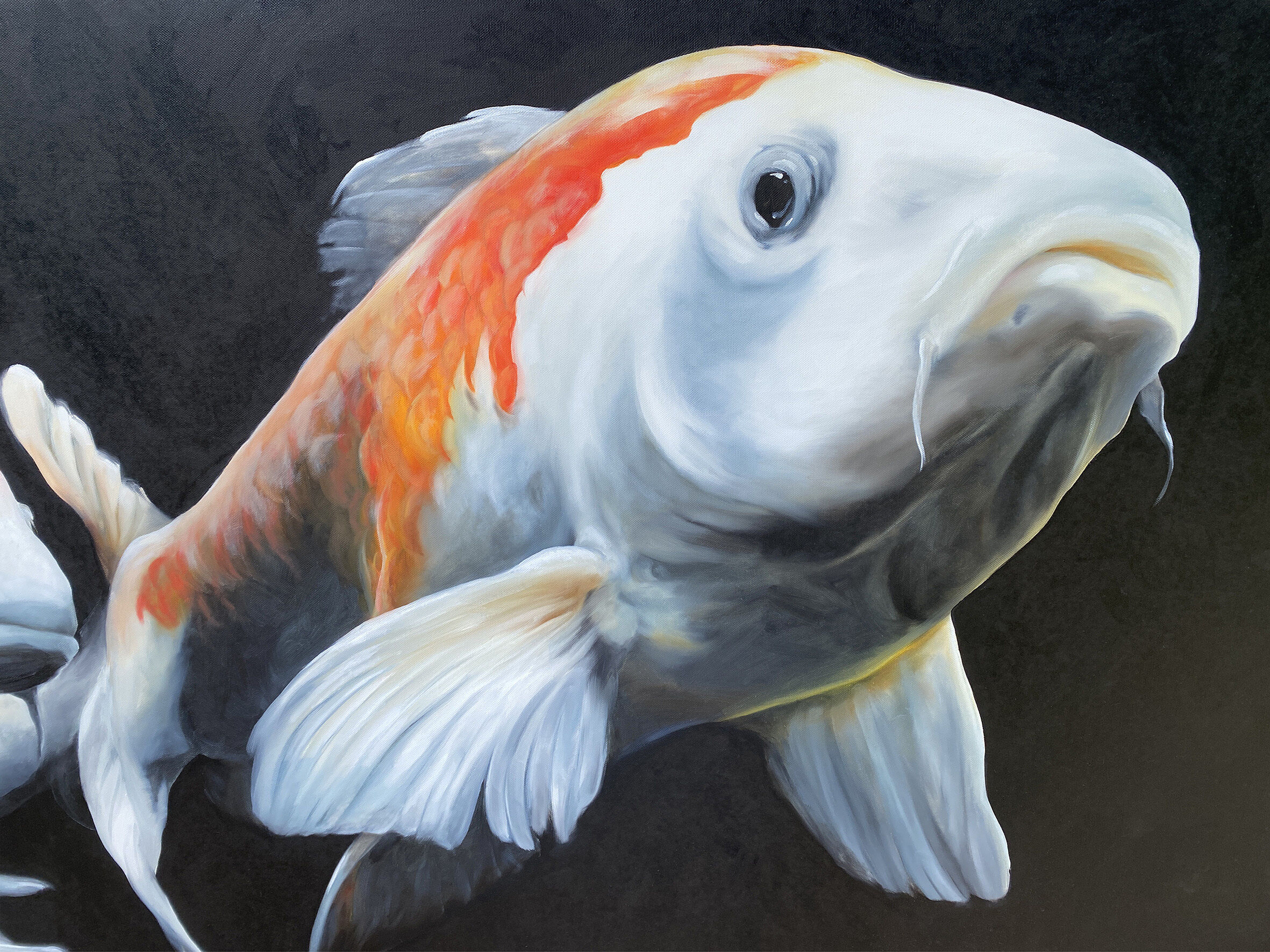 Picture "Koi" (2022)