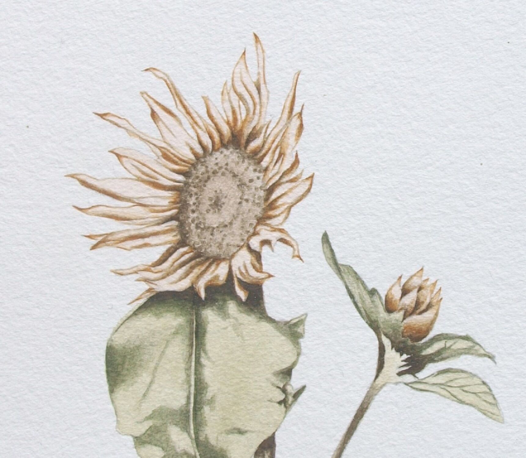 Bild "Sonnenblume" (2015)