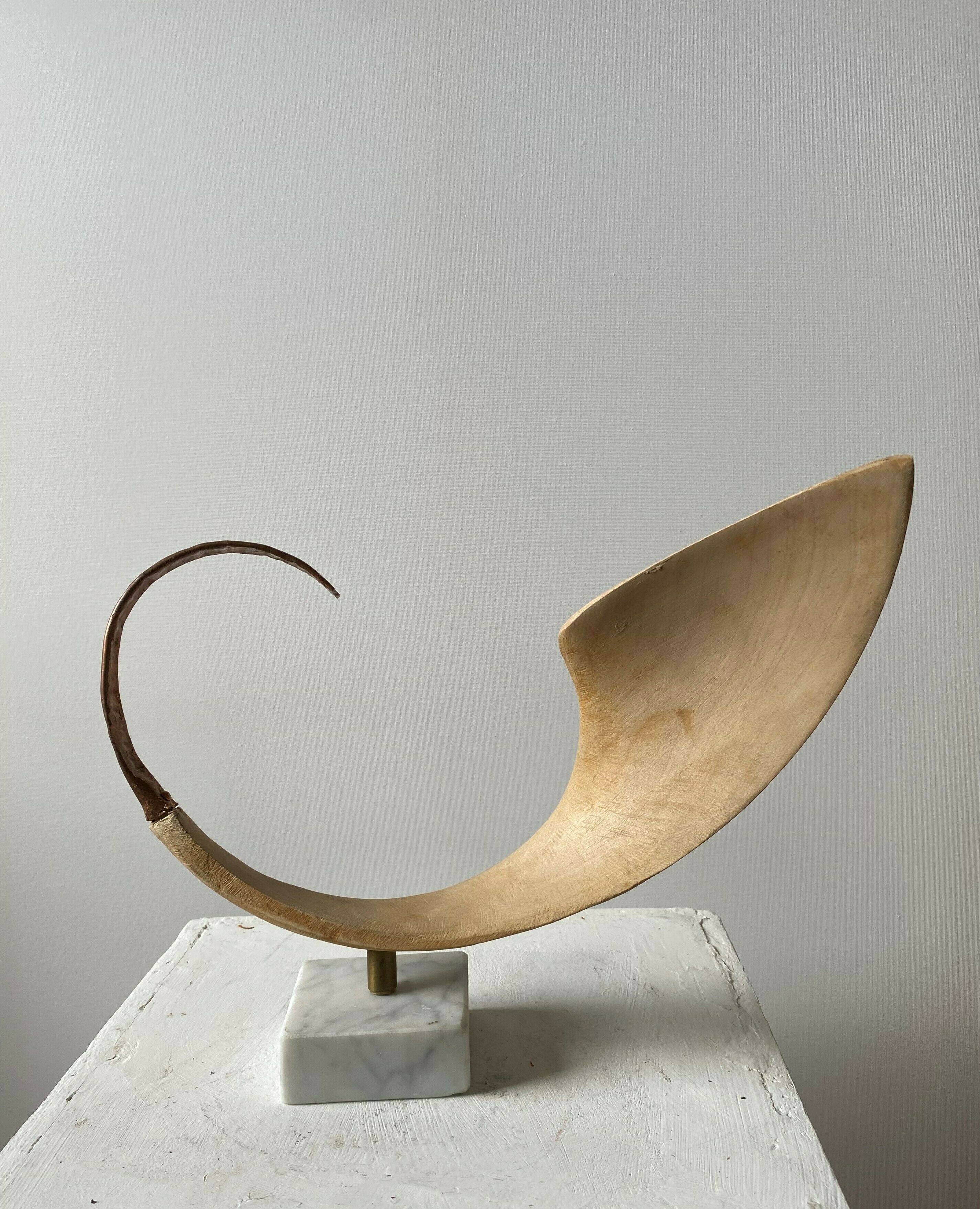 Sculpture "Venus horn" (2018)