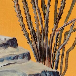 Picture "Ocotillo in front of yellow wall" (2009)