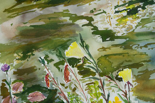 Picture "Evening primrose by the pond" (2023)