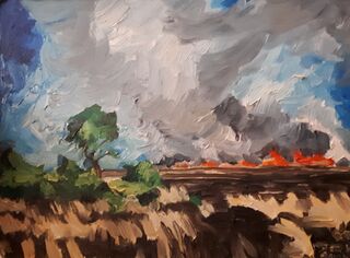 Picture "Field fire" (2004)