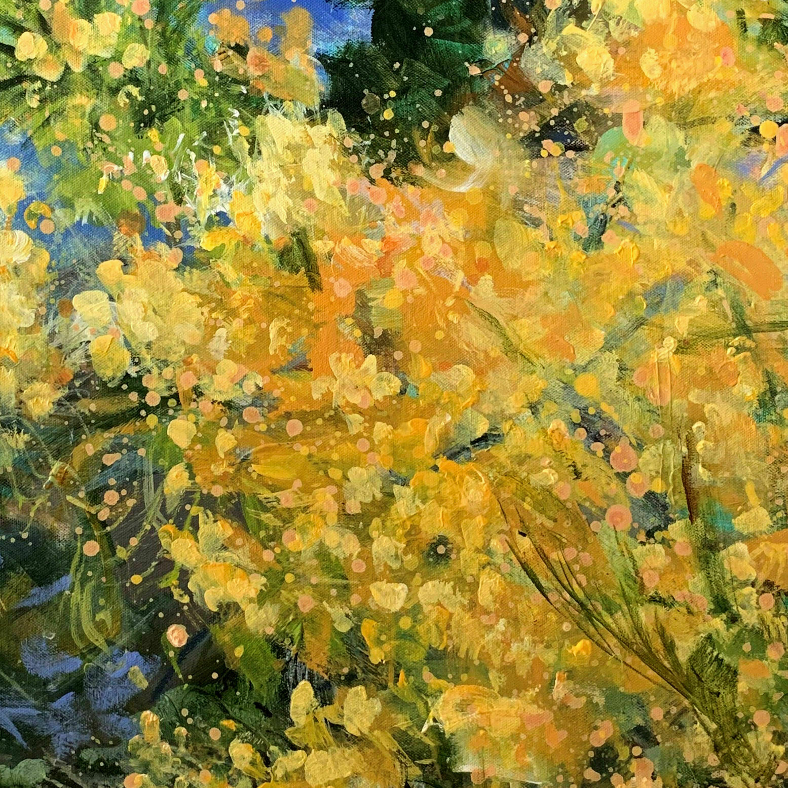 Bild "Mimosa flowers" (2022)