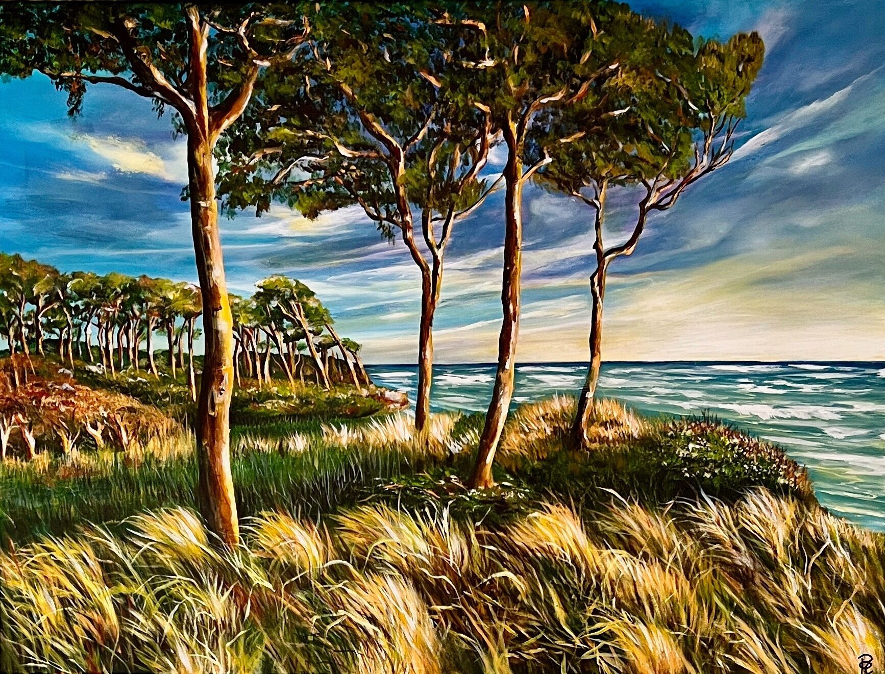 Picture "Baltic Wind" (2022)