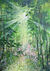 Bild "Sunny Glade II" (2024)