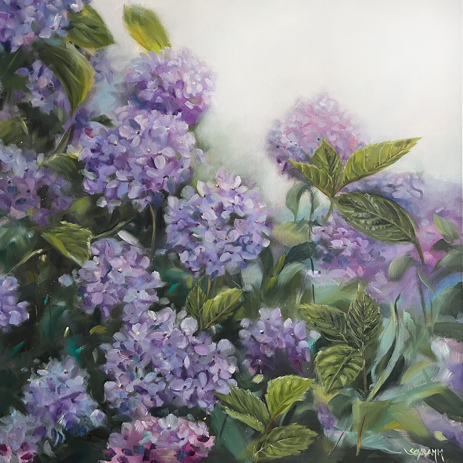 Bild "SOMMERMELODIE Hortensien #250201" (2025)
