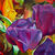 Picture "Bloom Six" (2024)