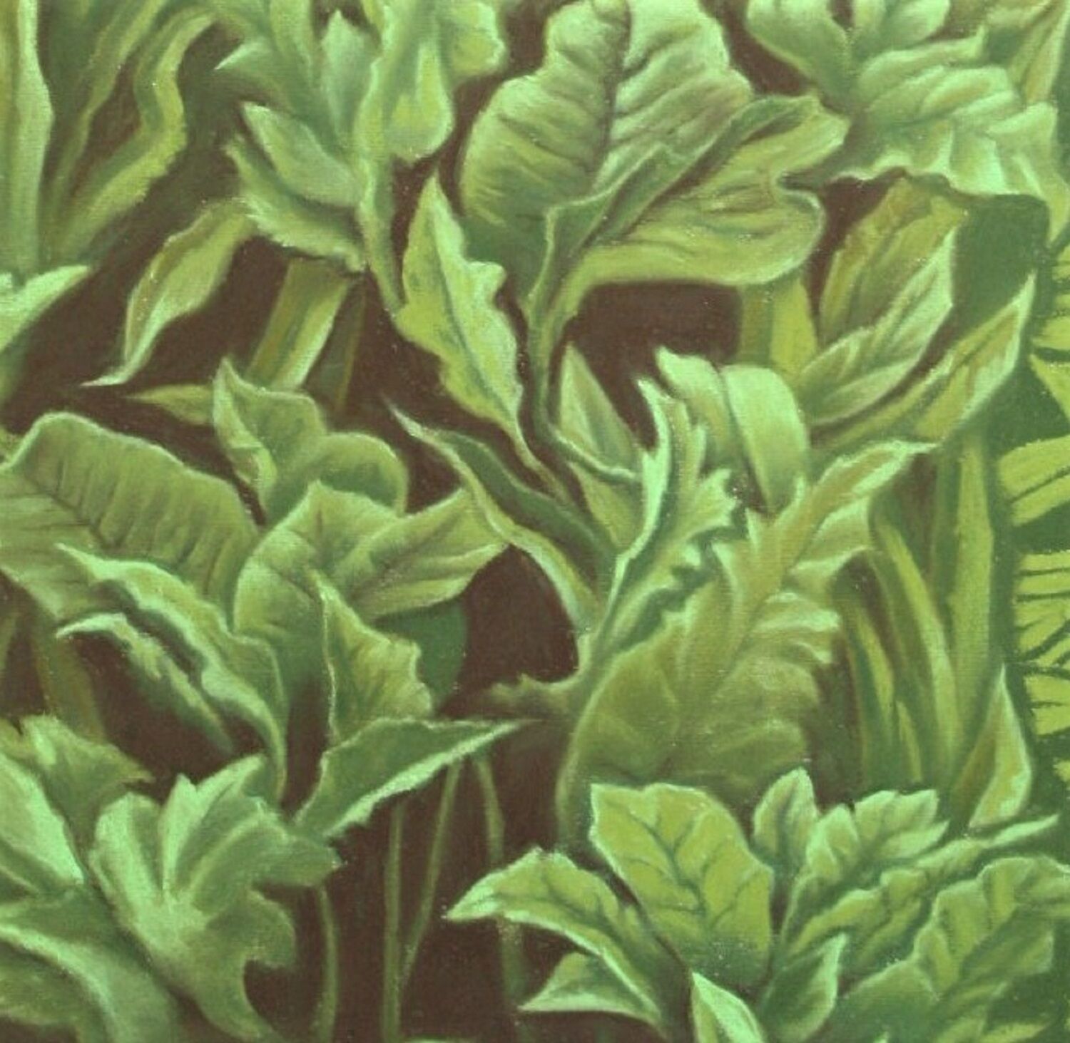 Bild "grüne Pflanzen" (2013)