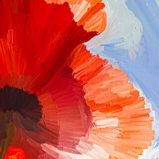 Picture "Poppies from below" (2024)