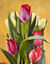 Bild "Tulpen pink-weiß" (2022)
