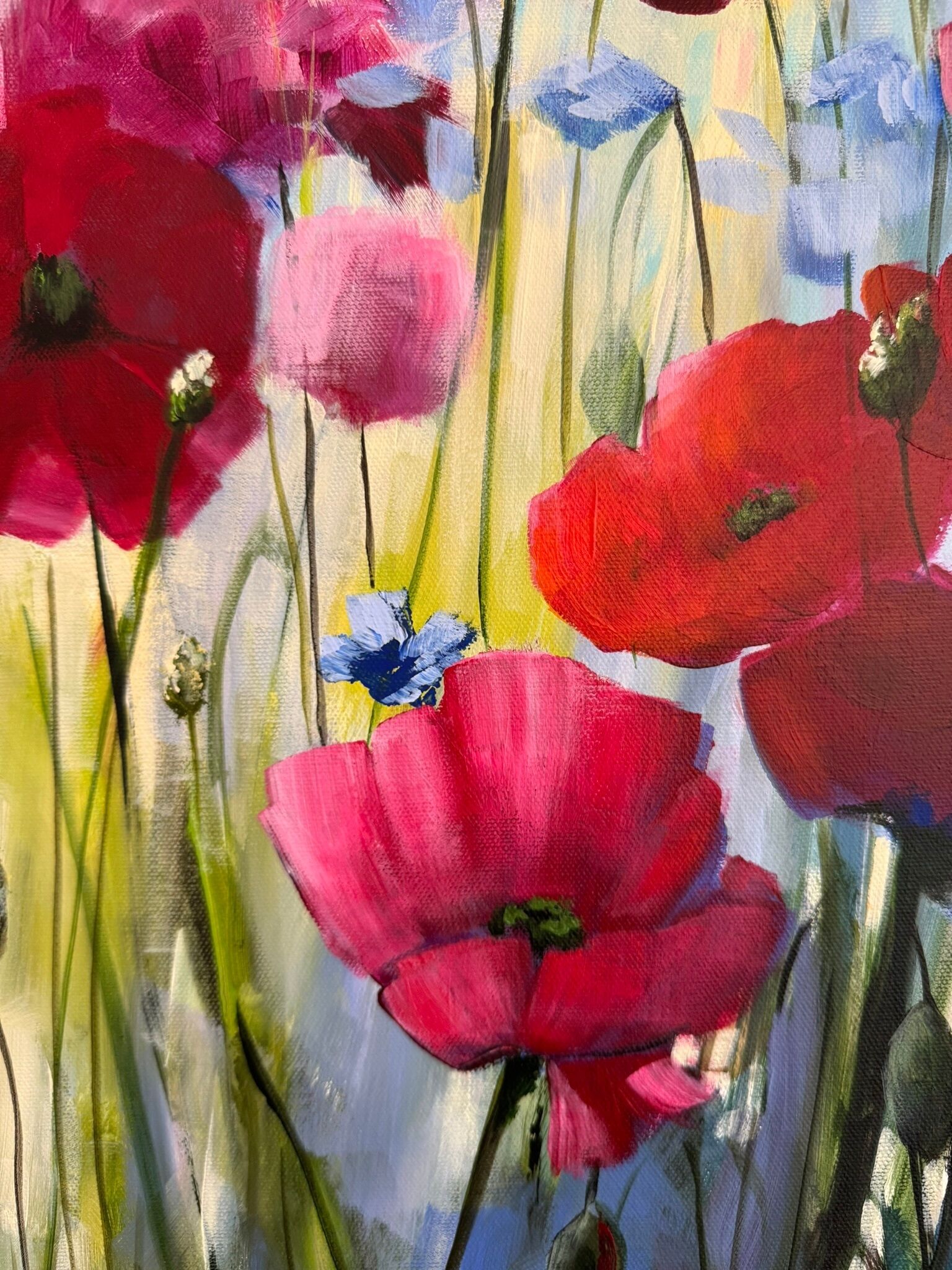 Bild "Poppies Land 11" (2024)