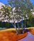 Picture "Edeltraud's Birches No. VII" (2025)
