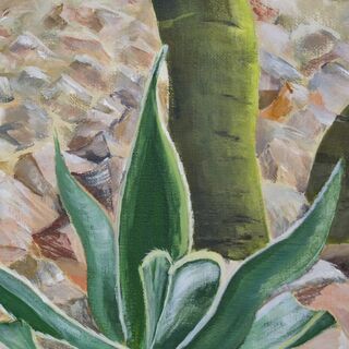 Bild "Agave" (2007)