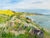 Bild "Ostsee / Ærø / Mølledamsvej" (2022)