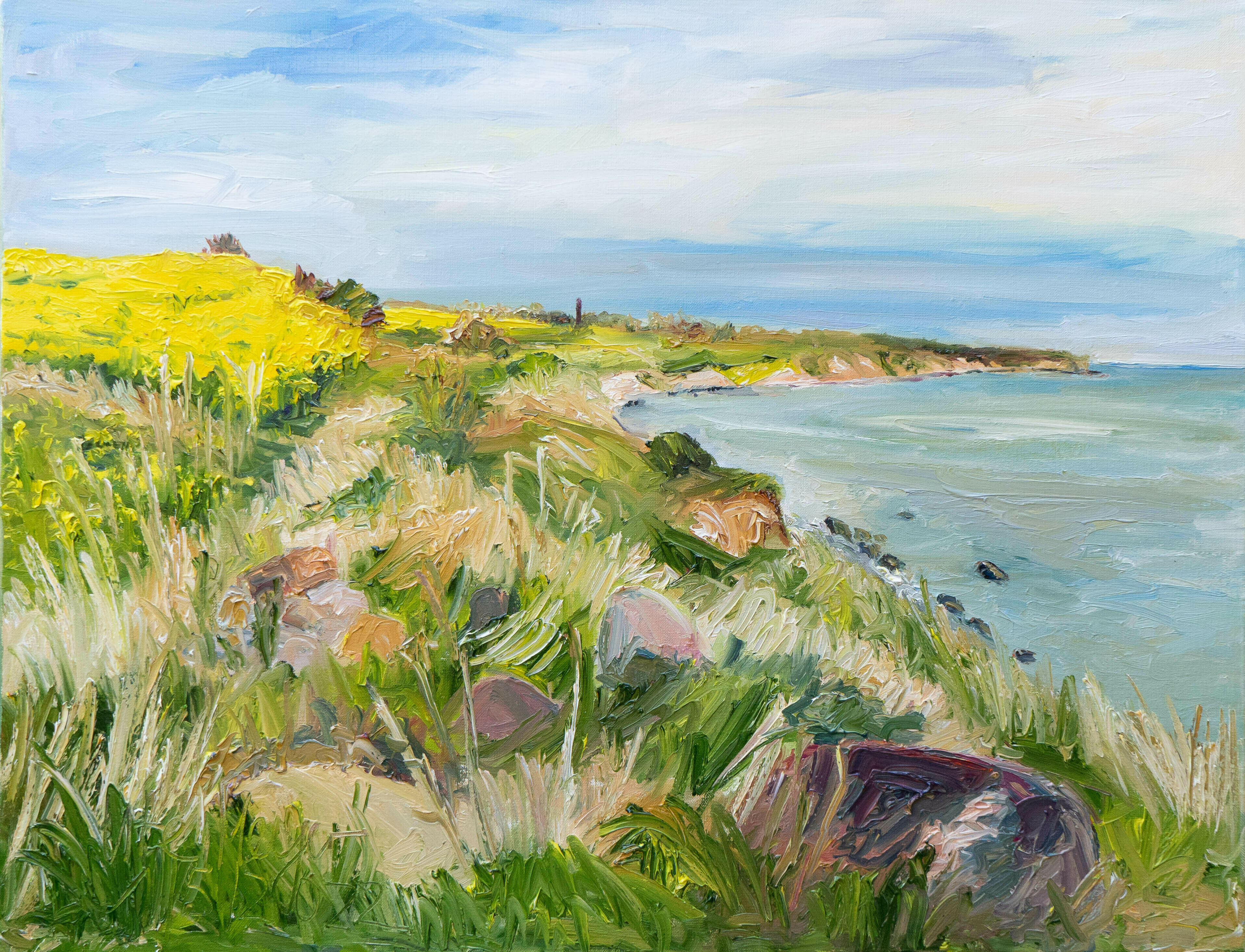 Bild "Ostsee / Ærø / Mølledamsvej" (2022)