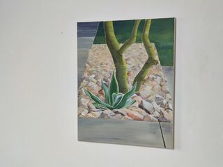 Picture "Agave" (2007)