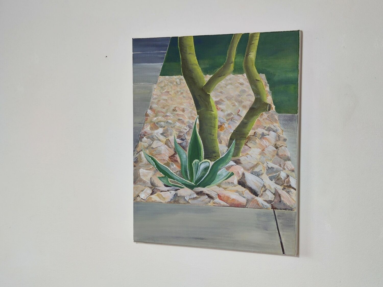 Bild "Agave" (2007)