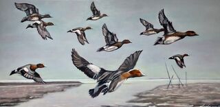 Picture "Wigeon ducks in flight" (2023)