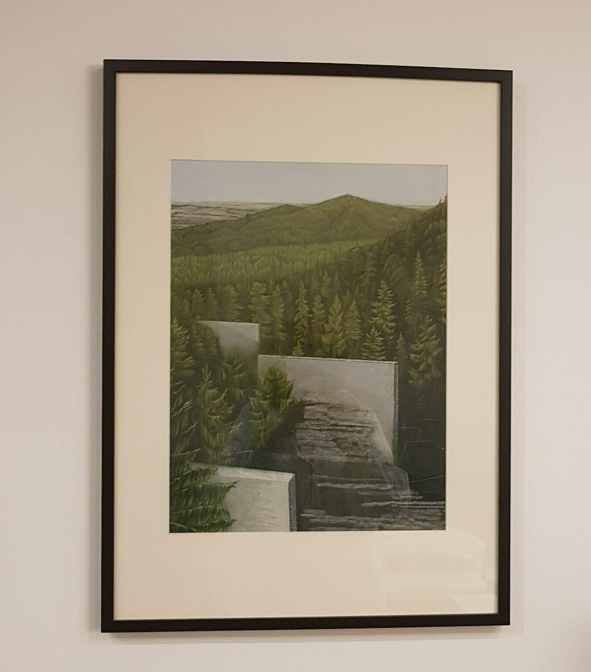Picture "Remote view" (2013)