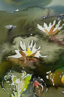 Picture "Water lilies" (2023)