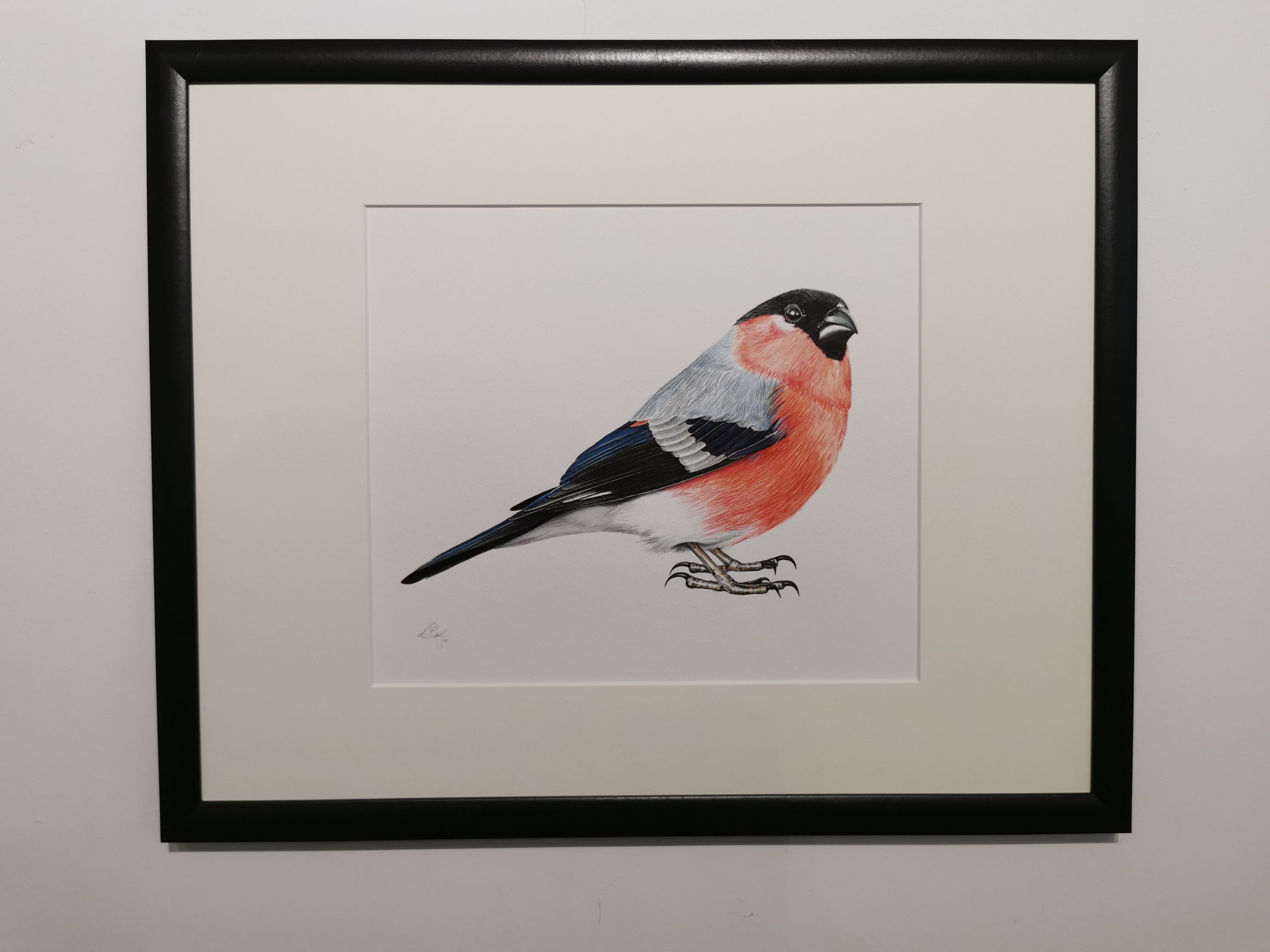 Picture "The bullfinch" (2018)