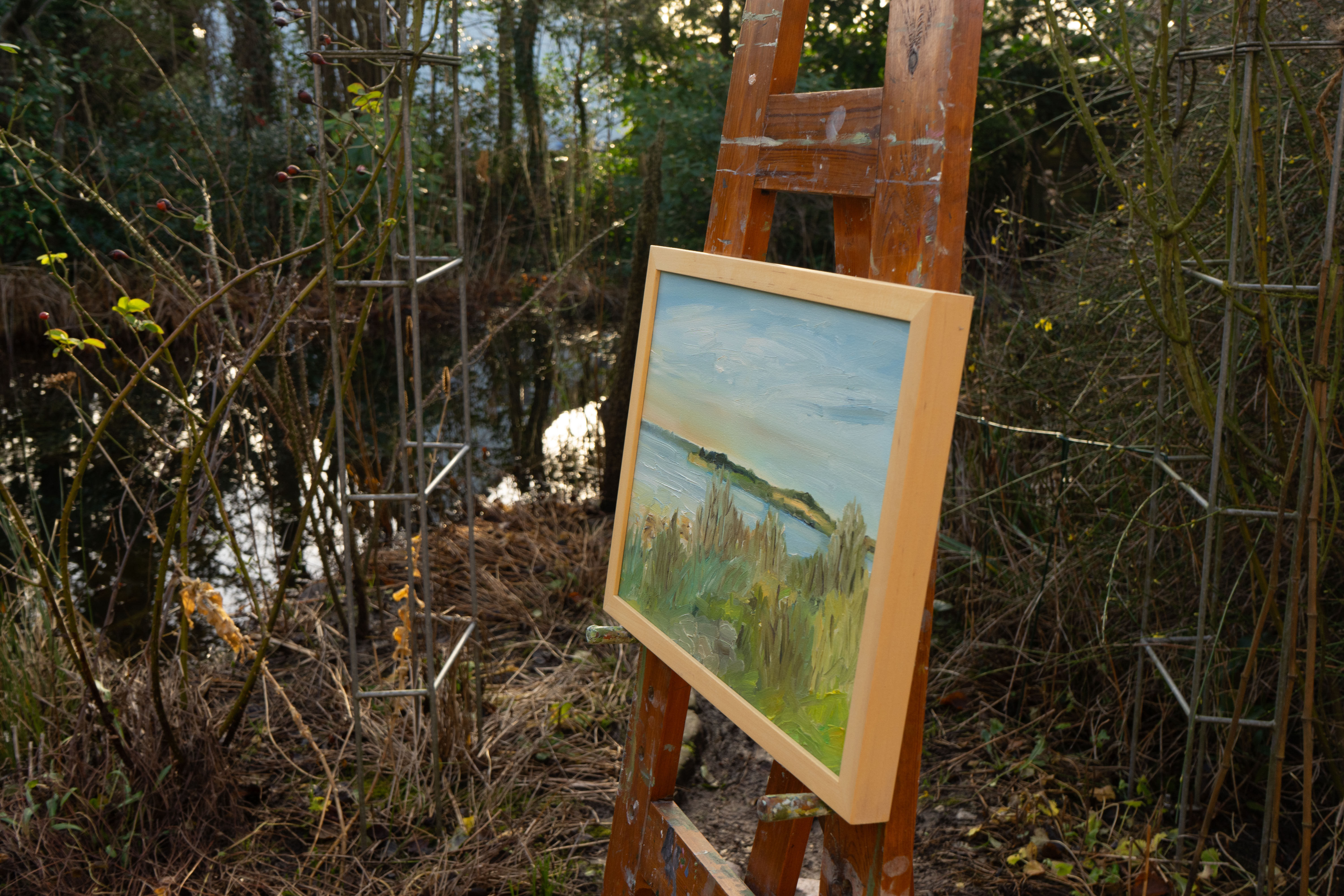 Picture "Evening mood/Baltic coast" (2006)