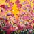 Bild "Summer Garden 8" (2023)
