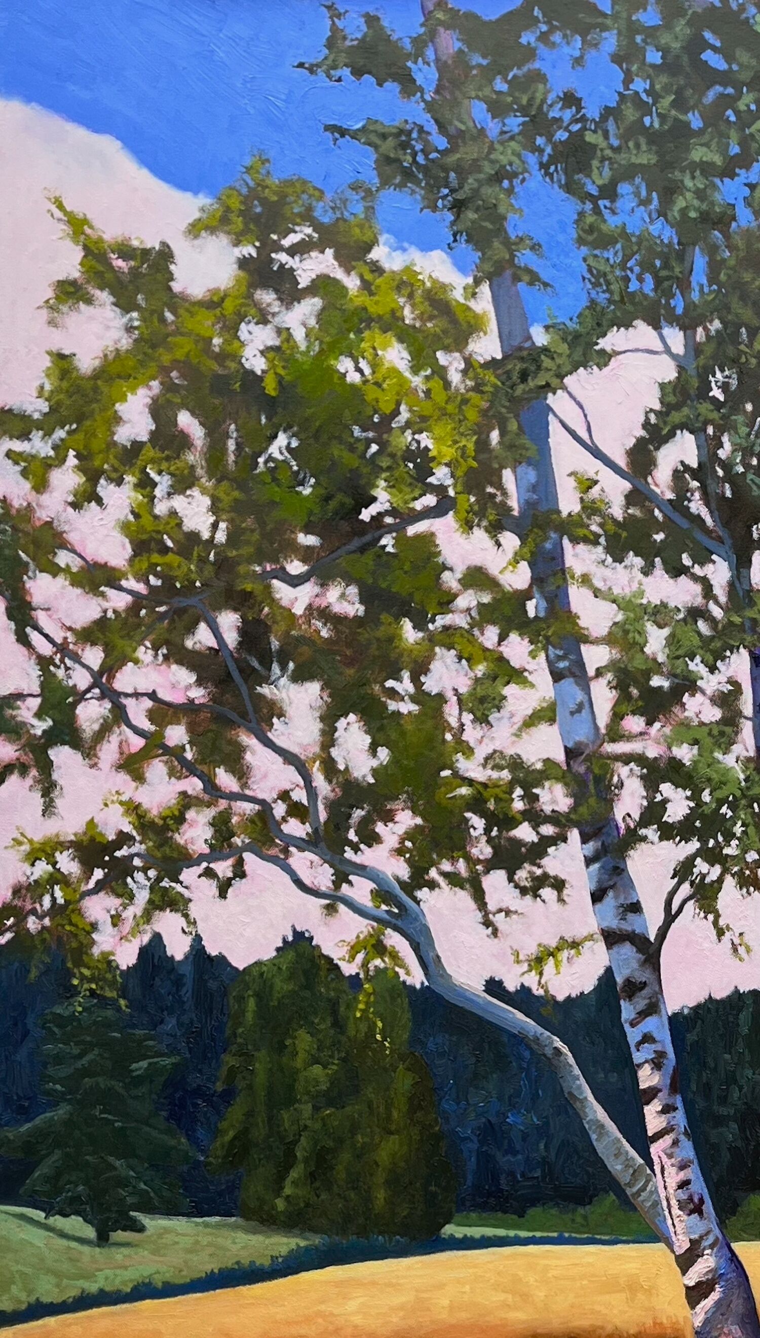Picture "Edeltraud's Birches No. VII" (2025)