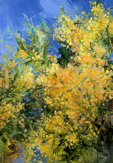 Bild "Mimosa flowers" (2022)