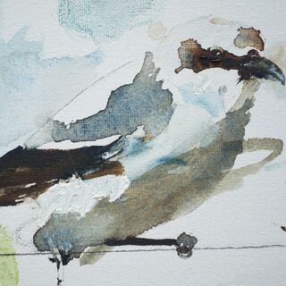 Picture "Rare bird III" (2024)