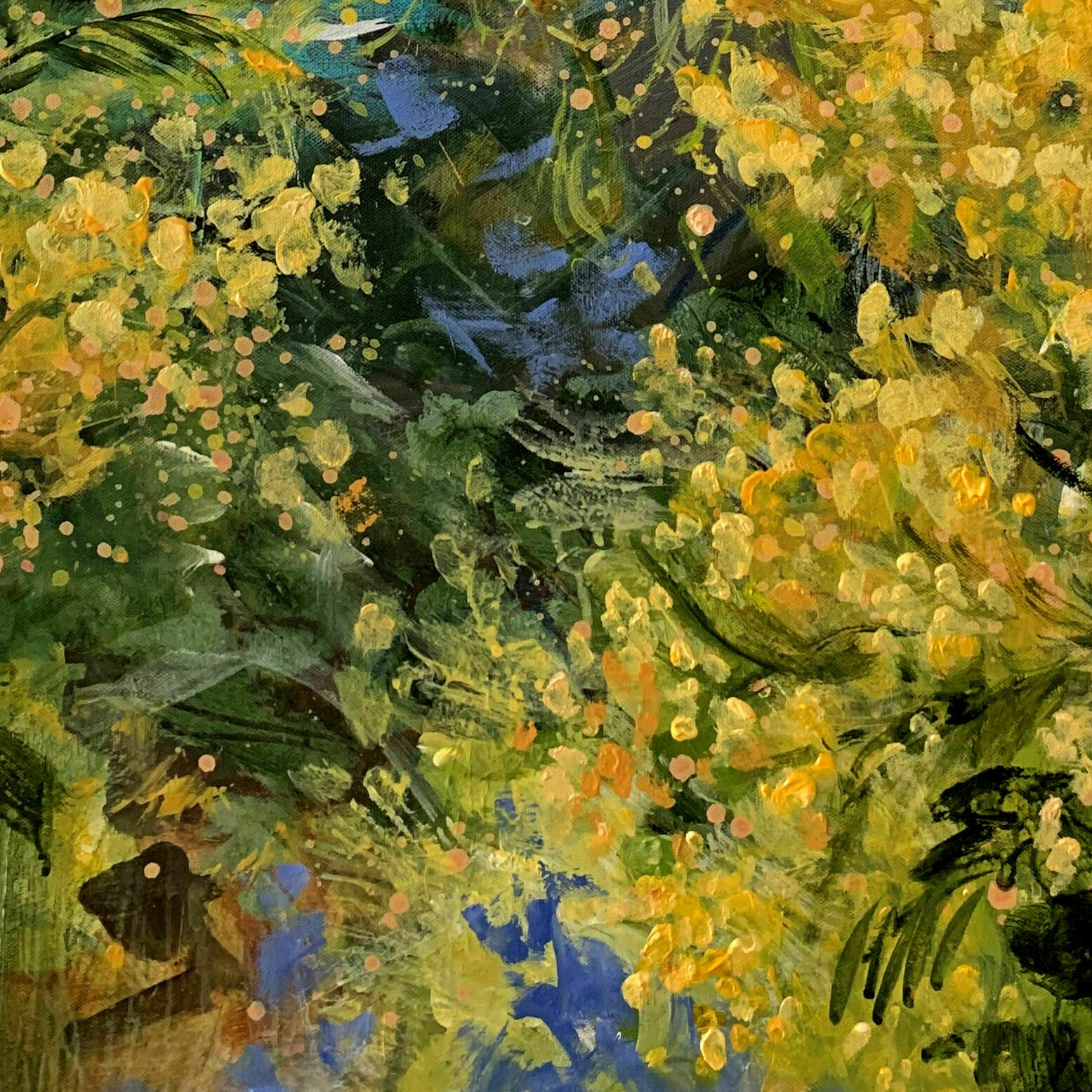 Bild "Mimosa flowers" (2022)