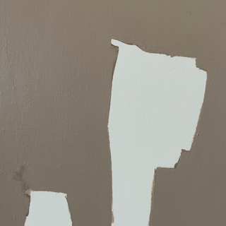 Picture "DAISY study I" (2024)