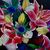 Picture "Bouquet Four" (2024)