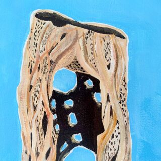 Picture "cholla" (2024)