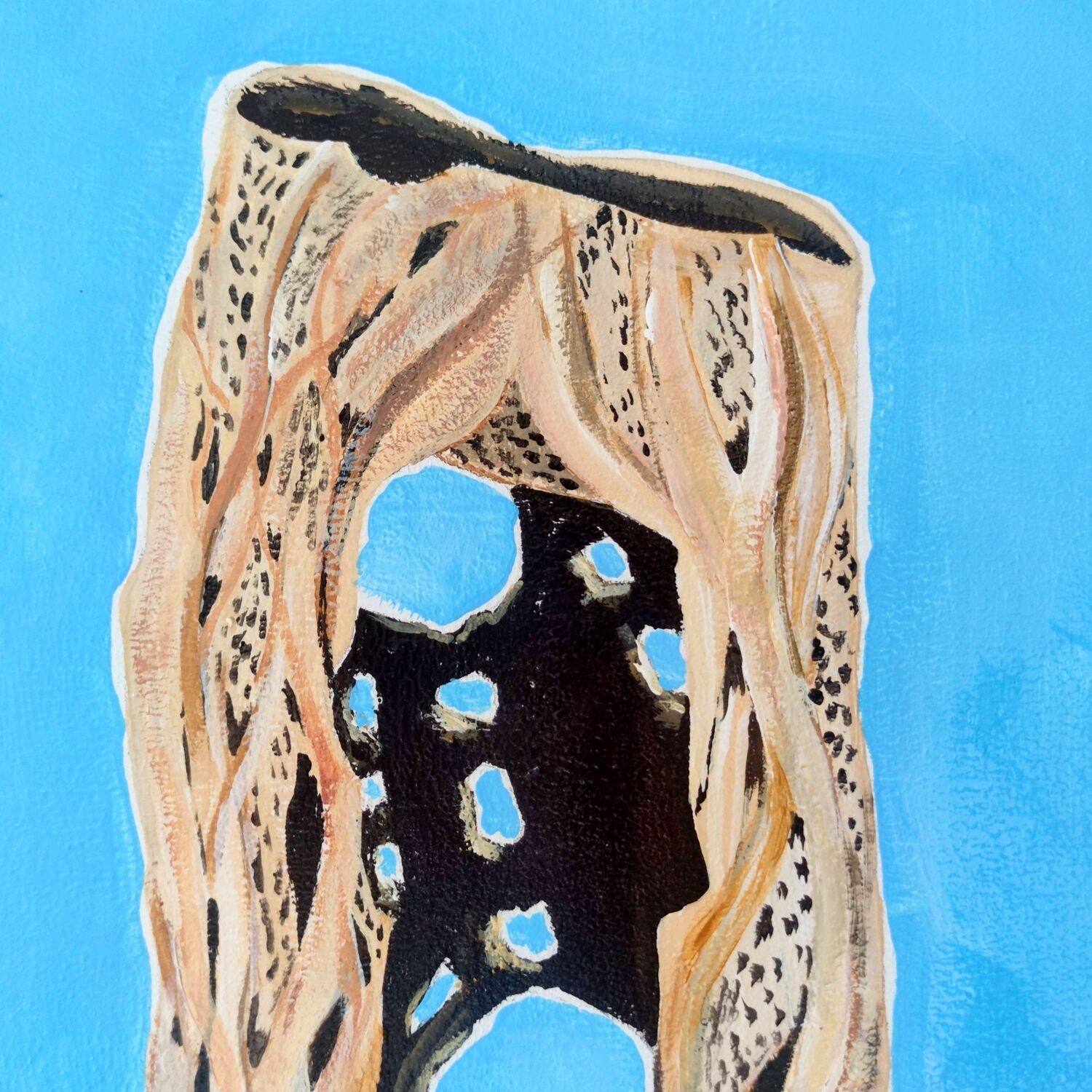 Picture "cholla" (2024)